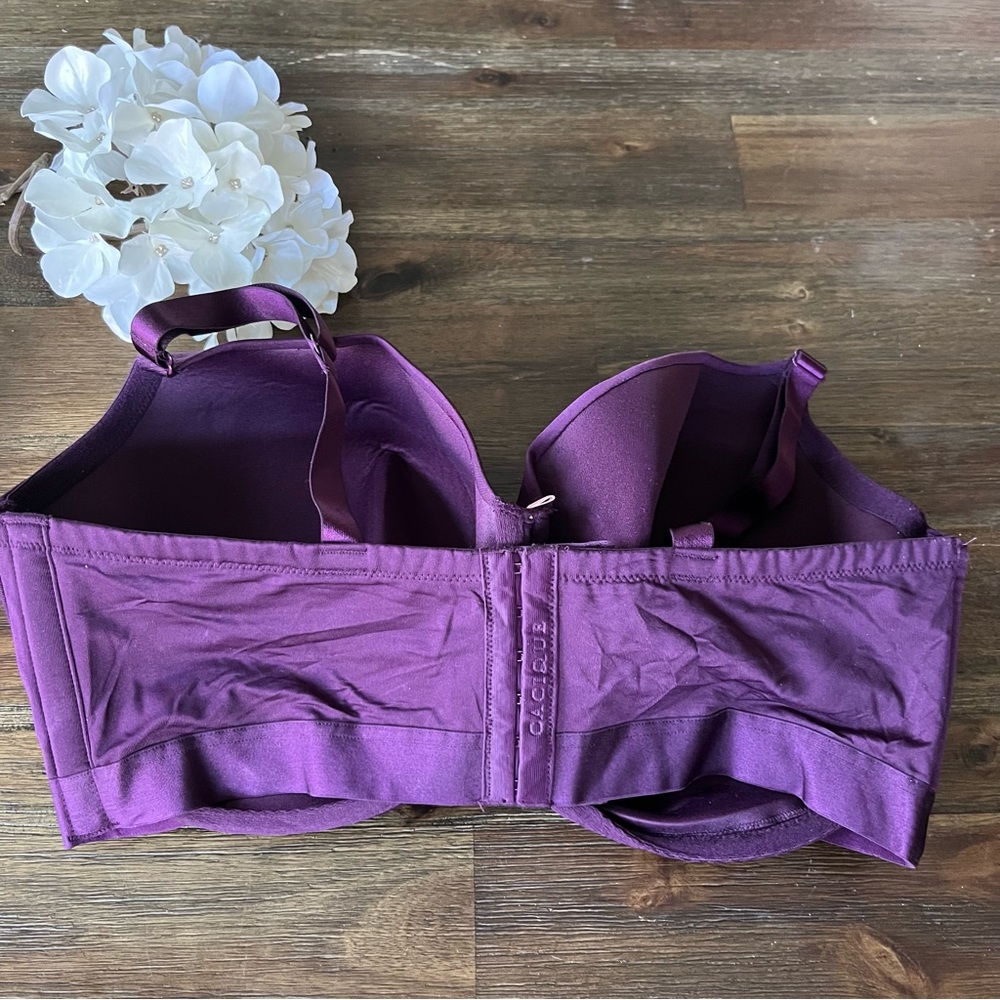 Lane Bryant Full Coverage Lightly Line Balconette… - image 3